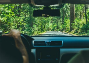 Car insurance for an Accord in Michigan